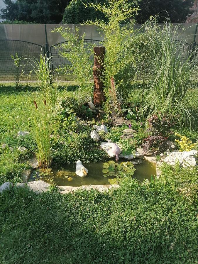 Apartman Garden House Vozdivac Exterior photo
